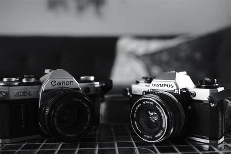 The Revival of Film Photography in a Digital Age